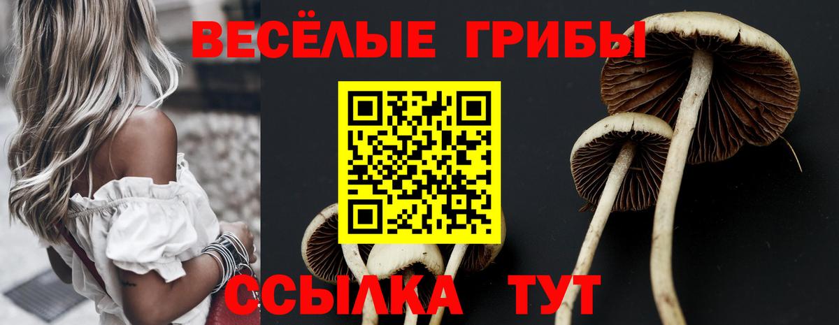 Псилоцибиновые грибы ЛСД  как найти   Тара  Вход с VPN 